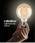 RABALUX LIGHTSOURCES 2023 / 2024 - 4. strana